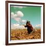 Potato Harvest In The Andes Of Peru-cwwc-Framed Art Print