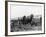 Potato Lifting Using Horses and Plough Near Rickmansworth Hertfordshire-Staniland Pugh-Framed Photographic Print