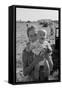 Potato Picking Mother with Baby-Dorothea Lange-Framed Stretched Canvas