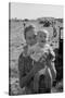 Potato Picking Mother with Baby-Dorothea Lange-Stretched Canvas