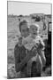 Potato Picking Mother with Baby-Dorothea Lange-Mounted Art Print