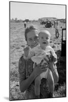 Potato Picking Mother with Baby-Dorothea Lange-Mounted Art Print