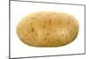 Potato-Victor De Schwanberg-Mounted Photographic Print