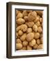 Potatoes at Sunday Morning Market, Pollenca, Tramuntana, Mallorca, Spain-Andrew Stewart-Framed Photographic Print