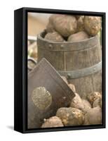 Potatoes at Vegetable Market, Stavanger Harbour, Norway-Russell Young-Framed Stretched Canvas