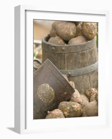 Potatoes at Vegetable Market, Stavanger Harbour, Norway-Russell Young-Framed Photographic Print