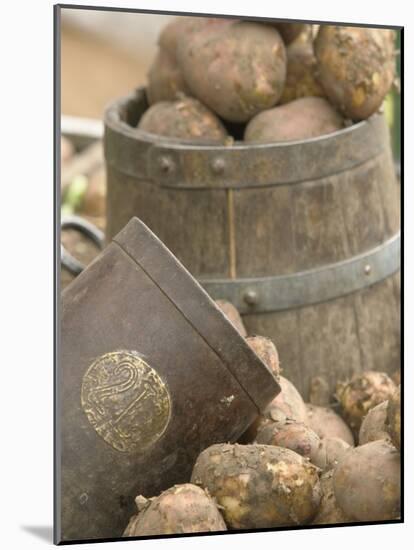 Potatoes at Vegetable Market, Stavanger Harbour, Norway-Russell Young-Mounted Photographic Print