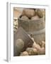 Potatoes at Vegetable Market, Stavanger Harbour, Norway-Russell Young-Framed Photographic Print