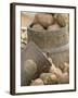 Potatoes at Vegetable Market, Stavanger Harbour, Norway-Russell Young-Framed Photographic Print