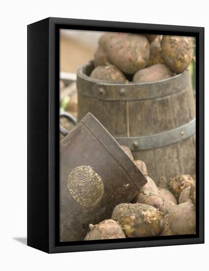 Potatoes at Vegetable Market, Stavanger Harbour, Norway-Russell Young-Framed Stretched Canvas