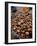 Potatoes in Local Farmer's Market, Ollantaytambo, Peru-Cindy Miller Hopkins-Framed Photographic Print