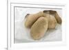 Potatoes in Paper Bag-Eising Studio - Food Photo and Video-Framed Photographic Print