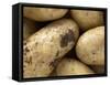 Potatoes-Foodcollection-Framed Stretched Canvas