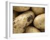 Potatoes-Foodcollection-Framed Photographic Print