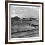 Potchefstroom, the Transvaal, South Africa, C1890-null-Framed Giclee Print