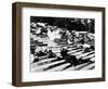 Potemkin, 1925, "Bronenosets Potyomkin" Directed by Sergei M. Eisenstein, Grigori Alexandrov-null-Framed Photographic Print