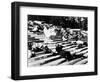 Potemkin, 1925, "Bronenosets Potyomkin" Directed by Sergei M. Eisenstein, Grigori Alexandrov-null-Framed Photographic Print