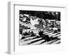 Potemkin, 1925, "Bronenosets Potyomkin" Directed by Sergei M. Eisenstein, Grigori Alexandrov-null-Framed Photographic Print