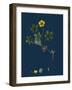 Potentilla Fruticosa; Shrubby Cinquefoil-null-Framed Giclee Print