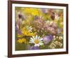 Potpourri of Flowers I-Fasani-Framed Art Print