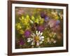 Potpourri of Flowers II-Fasani-Framed Art Print