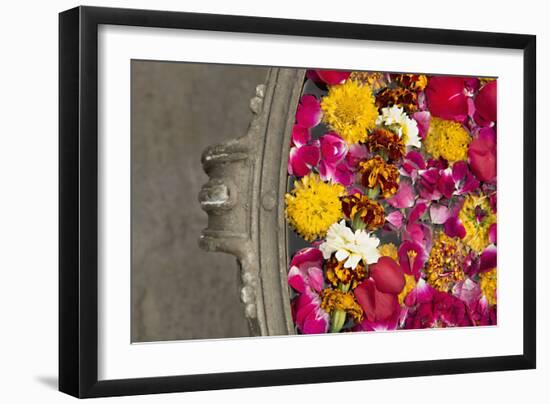 Potpourri-Karyn Millet-Framed Photographic Print