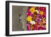 Potpourri-Karyn Millet-Framed Photographic Print