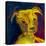 Potrait-of-a-Puppy-Rabi Khan-Stretched Canvas
