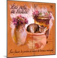 Pots bastide rose-Pascal Cessou-Mounted Art Print