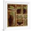 Pots Bruns et Feuillage Vert-Véronique Didier-Laurent-Framed Art Print