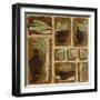 Pots Bruns et Feuillage Vert-Véronique Didier-Laurent-Framed Art Print