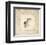 Pots et Buis II-Véronique Didier-Laurent-Framed Art Print