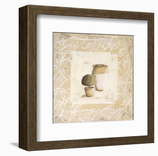 Pots et Buis II-Véronique Didier-Laurent-Framed Art Print