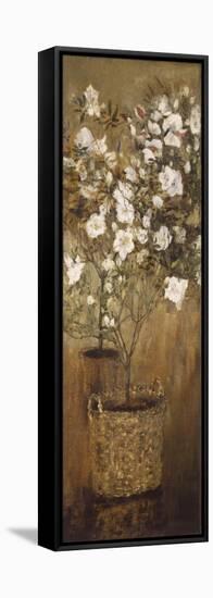 Pots of Azaleas, 1884-1885-Giovanni Segantini-Framed Stretched Canvas
