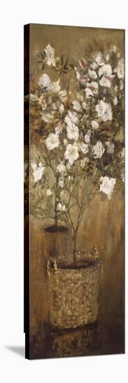 Pots of Azaleas, 1884-1885-Giovanni Segantini-Stretched Canvas