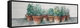 Pots of Herbs II Cottage v2-Carol Rowan-Framed Stretched Canvas