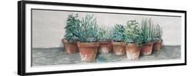 Pots of Herbs II Cottage v2-Carol Rowan-Framed Premium Giclee Print
