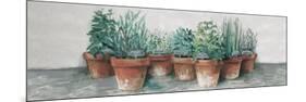Pots of Herbs II Cottage v2-Carol Rowan-Mounted Premium Giclee Print