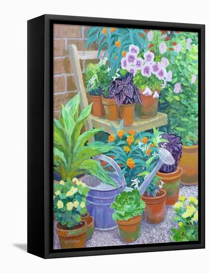 Pots-William Ireland-Framed Stretched Canvas