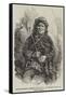 Pottawatamie Okemos Kinne-Boo, an Indian Chief of North America-null-Framed Stretched Canvas