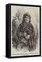 Pottawatamie Okemos Kinne-Boo, an Indian Chief of North America-null-Framed Stretched Canvas