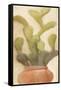 Potted Cactus 1-Kimberly Allen-Framed Stretched Canvas