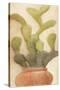 Potted Cactus 1-Kimberly Allen-Stretched Canvas