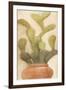 Potted Cactus 1-Kimberly Allen-Framed Art Print