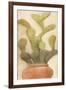 Potted Cactus 1-Kimberly Allen-Framed Art Print