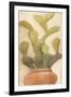 Potted Cactus 1-Kimberly Allen-Framed Art Print