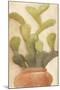 Potted Cactus 1-Kimberly Allen-Mounted Art Print