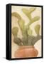 Potted Cactus 1-Kimberly Allen-Framed Stretched Canvas