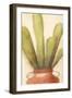 Potted Cactus 2-Kimberly Allen-Framed Art Print