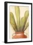 Potted Cactus 2-Kimberly Allen-Framed Art Print